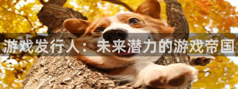 杏耀官网的奇趣腾讯是真的吗知乎：游戏发行人：未来潜力的游戏帝国
