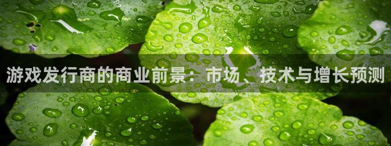 杏耀官网注册地址：游戏发行商的商业前景：市场、技术与增长预测