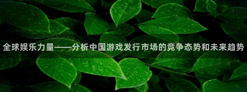 陕西杏耀子文化公司有什么游戏：全球娱乐力量——分析中国游戏发行市场的竞争态势和未来趋势