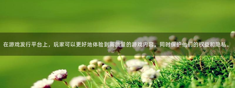 杏耀官网注册平台官网：在游戏发行平台上，玩家可以更好地体验到高质量的游戏内容，同时保护他们的权益和隐私。