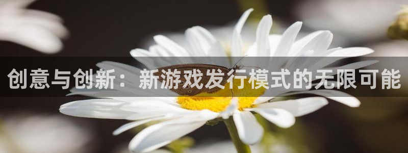杏耀官网注册平台怎么注册不了：创意与创新：新游戏发行模式的无限可能