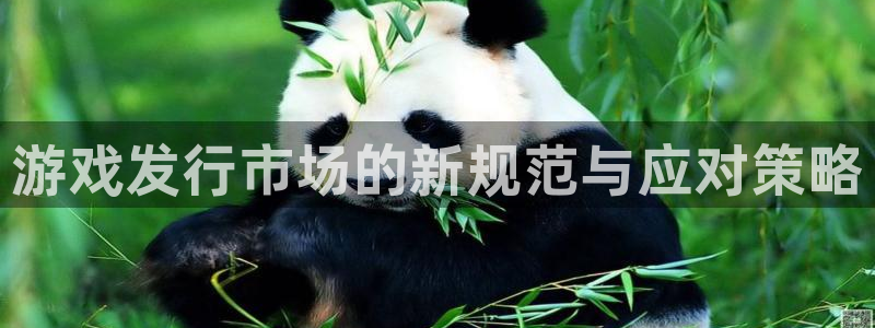 杏耀官网官网注册账号密码：游戏发行市场的新规范与应对策略