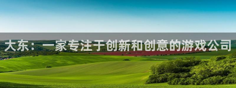 东莞杏耀信息科技有限公司：大东：一家专注于创新和创意的游戏公司