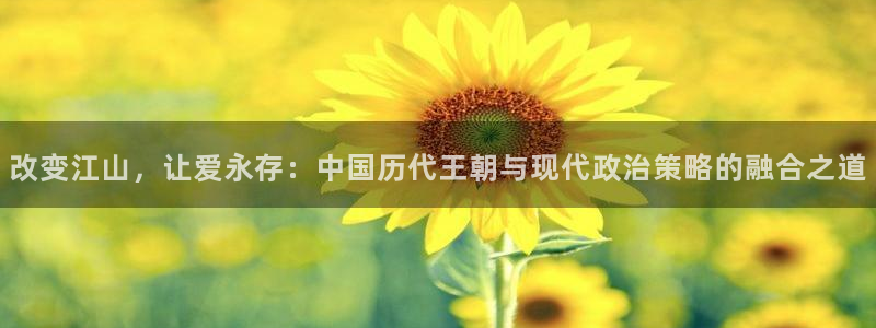 江苏杏耀智得新材料有限公司：改变江山，让爱永存：中国历代王朝与现代政治策略的融合之道