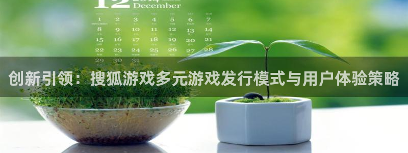 杏耀子招聘：创新引领：搜狐游戏多元游戏发行模式与用户体验策略