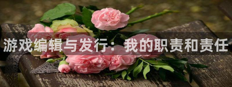 杏耀官网主营业务：游戏编辑与发行：我的职责和责任