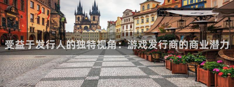 杏耀电子商务有限公司怎么样啊