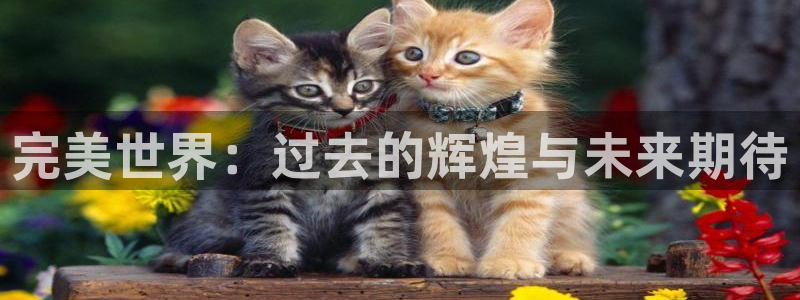 杏耀涂料(北京)有限公司