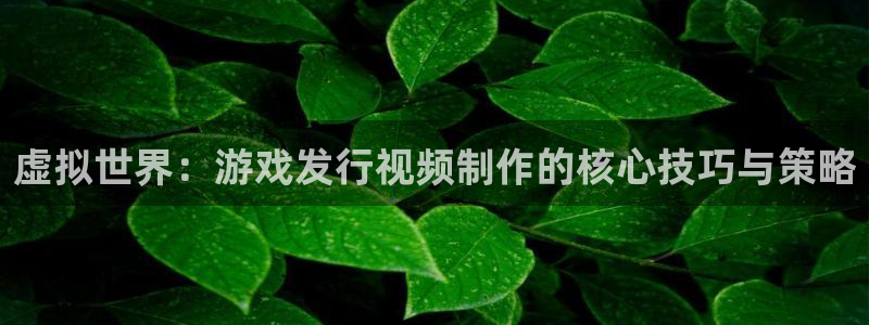 杏耀官网客服服务电话