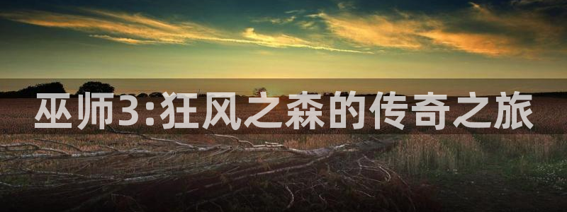 杏耀子经理人杂志