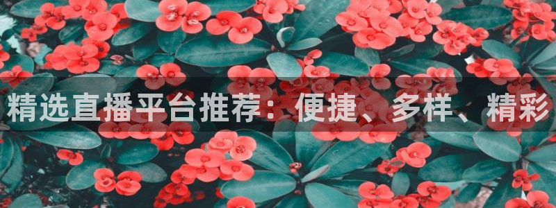 咪咕视频体育频道：精选直播平台推荐：便捷、多样、精彩