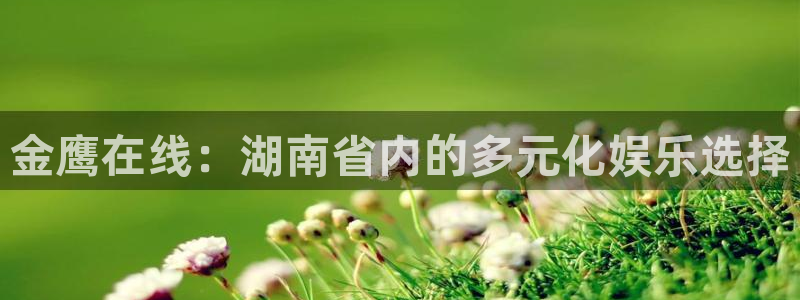 咪咕视频新版：金鹰在线：湖南省内的多元化娱乐选择