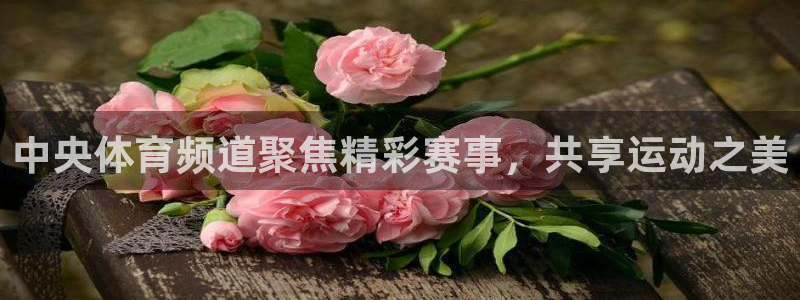 咪咕视频体育直播郑钦文今天：中央体育频道聚焦精彩赛事，共享运动之美