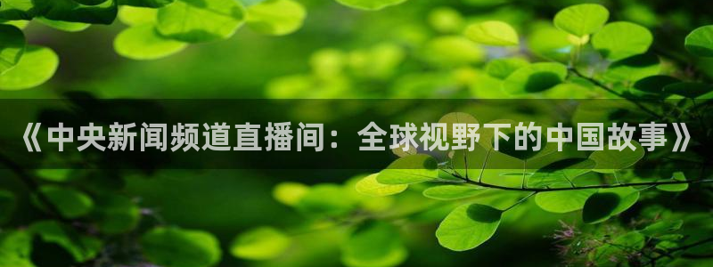 咪咕视频体育免费篮球现场直播：《中央新闻频道直播间：全球视野下的中国故事》