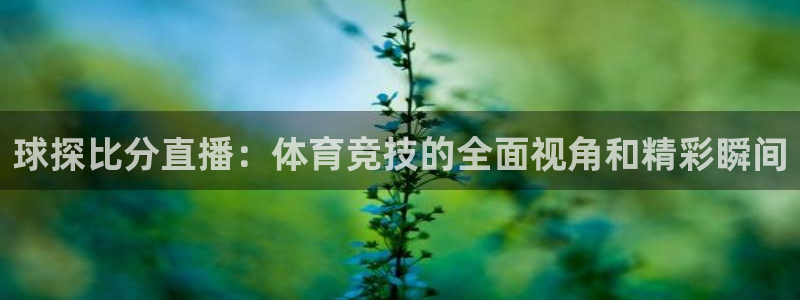 咪咕篮球赛现场直播：球探比分直播：体育竞技的全面视角和精彩瞬间