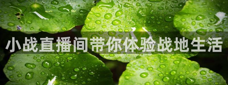 咪咕视频安装包下载：小战直播间带你体验战地生活