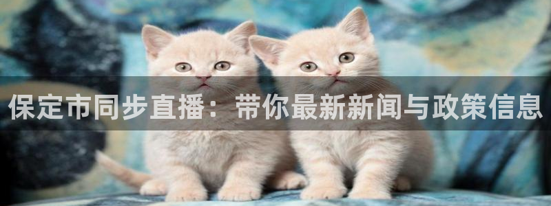 咪咕体育直播平台：保定市同步直播：带你最新新闻与政策信息