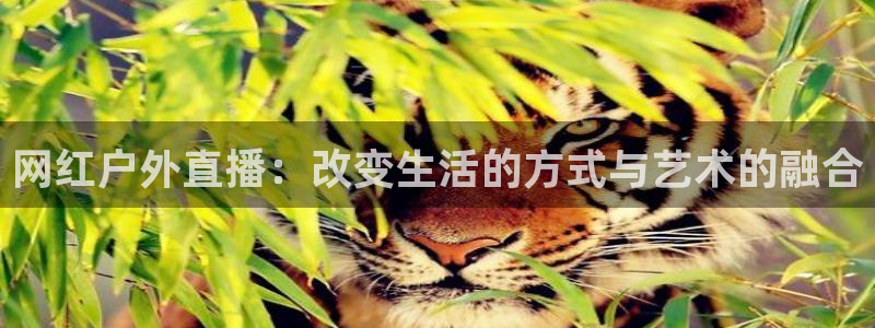 咪咕视频体育频道直播：网红户外直播：改变生活的方式与艺术的融合
