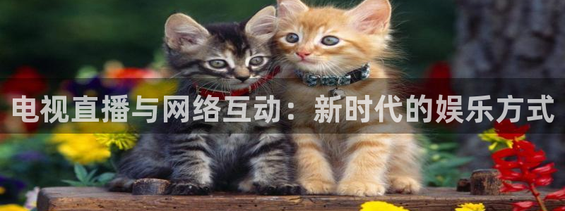 咪咕视频体育直播app下载：电视直播与网络互动：新时代的娱乐方式