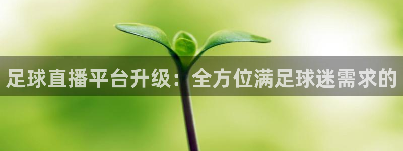 咪咕视频体育直播网页版：足球直播平台升级：全方位满足球迷需求的