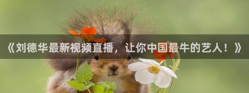 咪咕体育免费高清直播入口：《刘德华最新视频直播，让你中国最牛的艺人！》