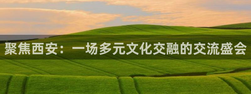 咪咕足球直播免费观看手机版：聚焦西安：一场多元文化交融的交流盛会